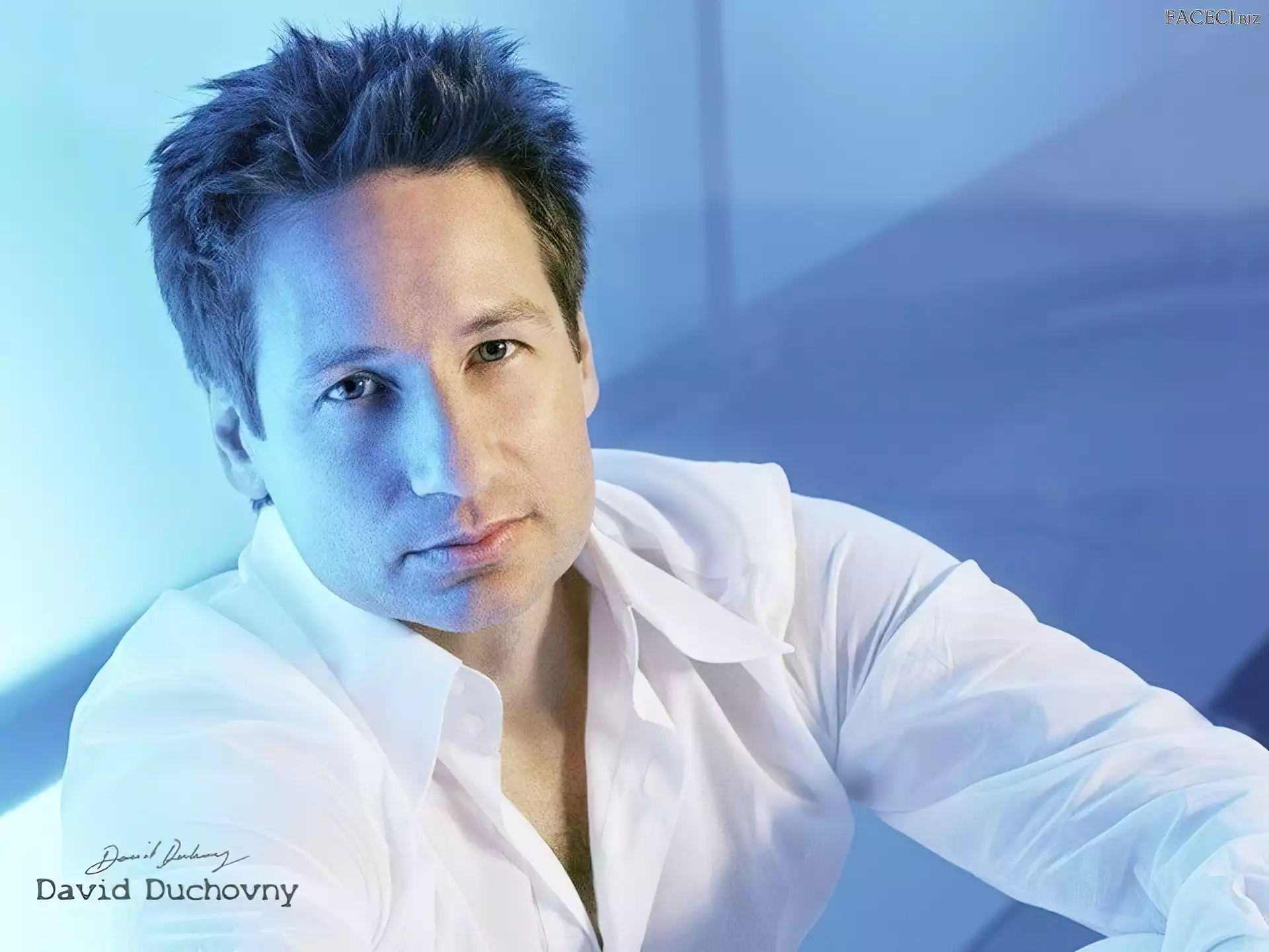 ciemne włosy, David Duchovny, biała koszula